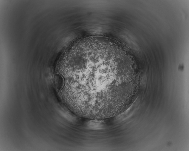 X0000100490179200806201701