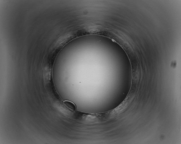 X0000100490180200806201701