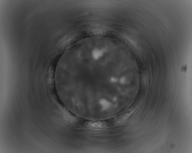 X0000100490181200806201701