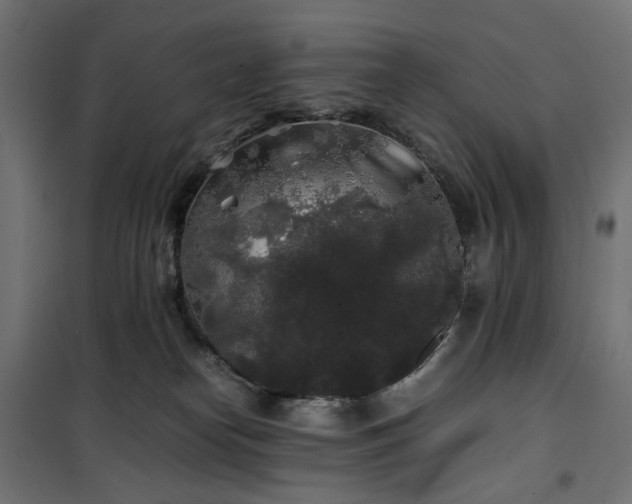 X0000100490182200806201701