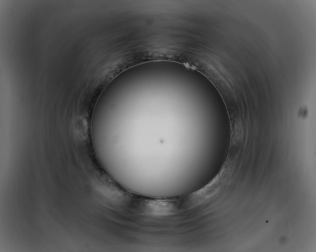 X0000100490183200806201701