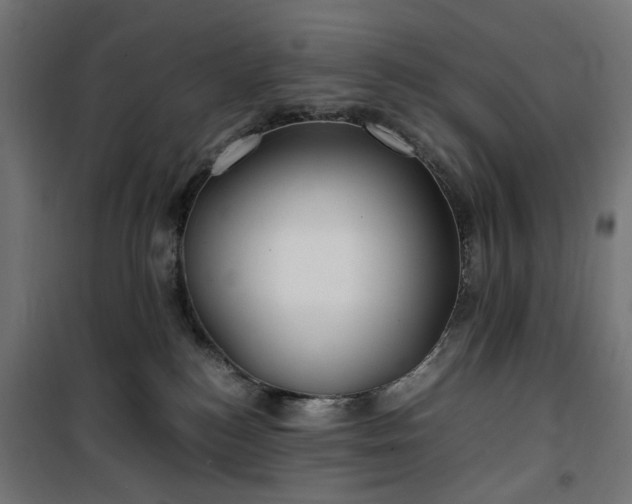 X0000100490184200806201701