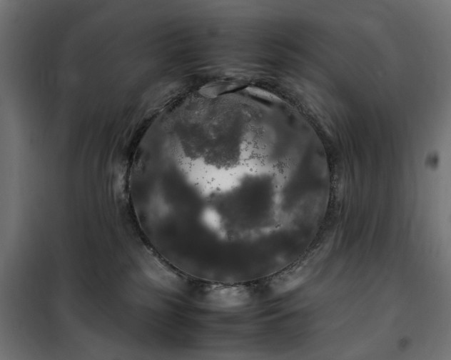 X0000100490185200806201701