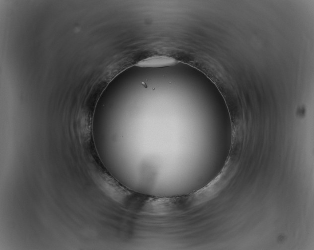 X0000100490186200806201701