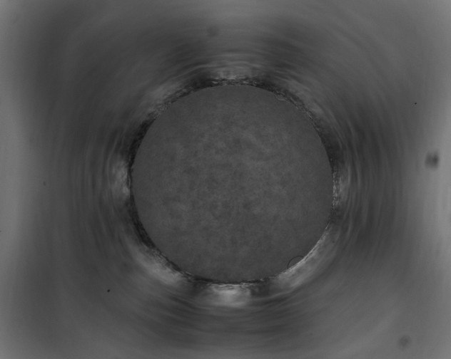 X0000100490187200806201701