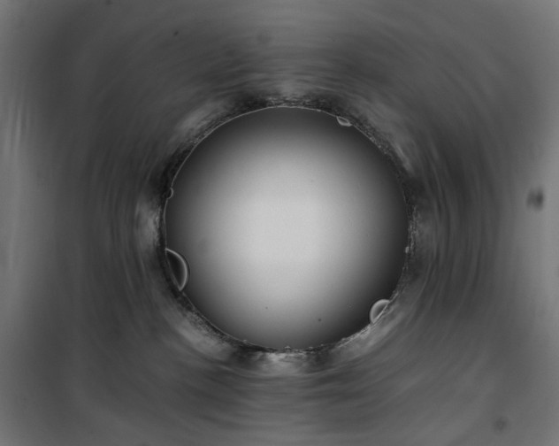 X0000100490188200806201701