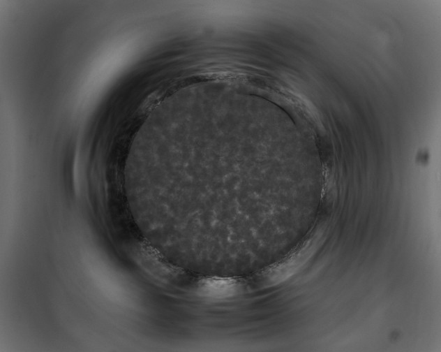 X0000100490189200806201701