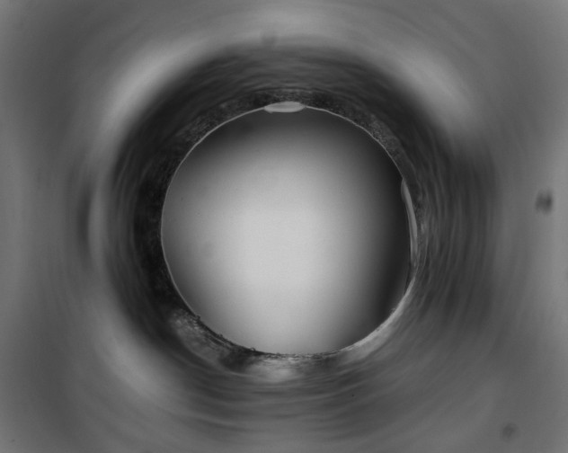 X0000100490190200806201701