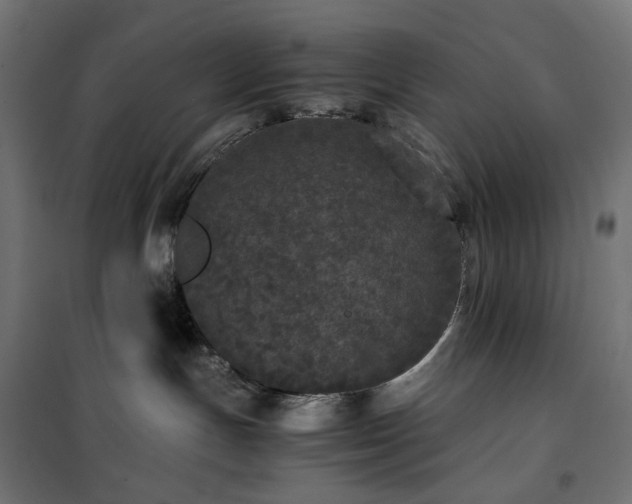 X0000100490191200806201701