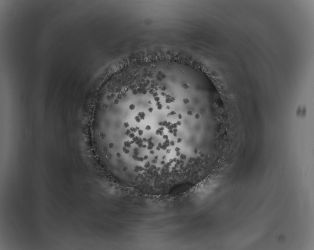 X0000100490192200806201701
