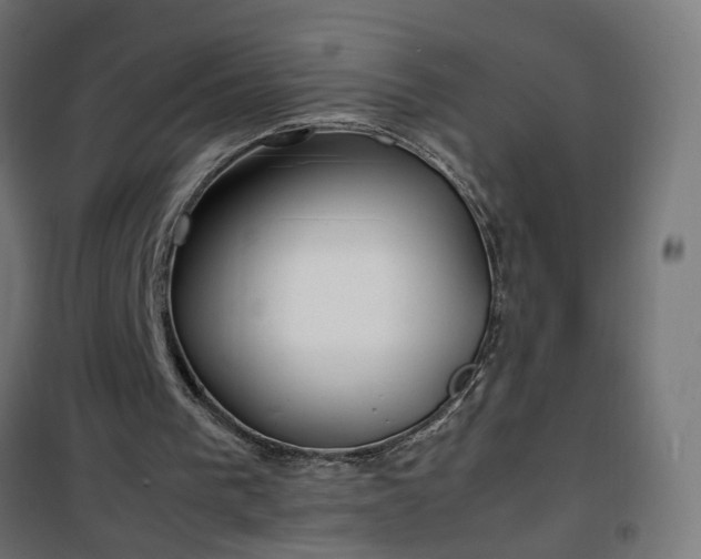 X0000100490193200806201700