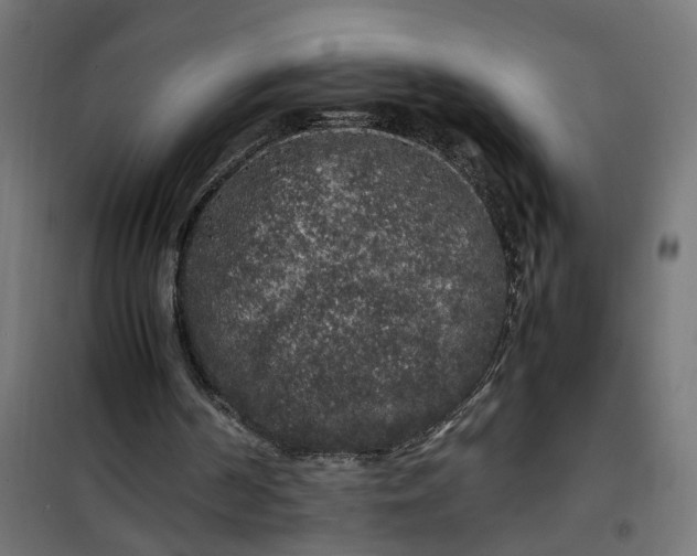 X0000100490194200806201700