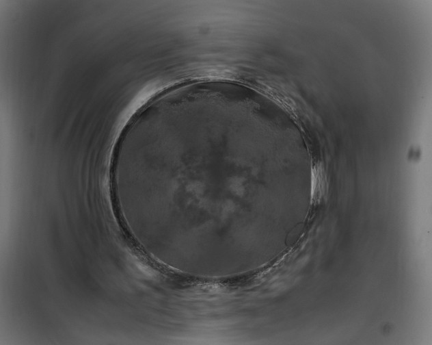 X0000100490195200806201700