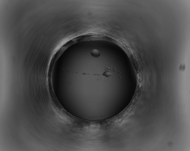 X0000100490196200806201700