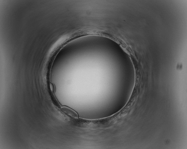 X0000100490197200806201700