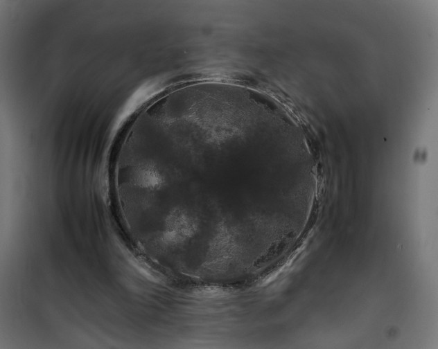 X0000100490198200806201700