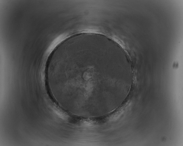 X0000100490199200806201700