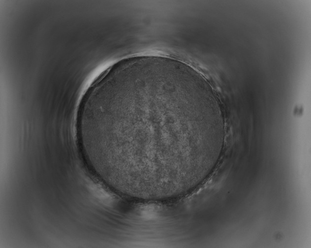 X0000100490200200806201700