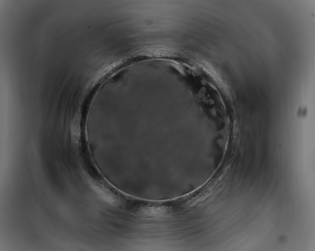 X0000100490202200806201700