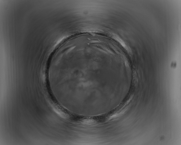 X0000100490203200806201700