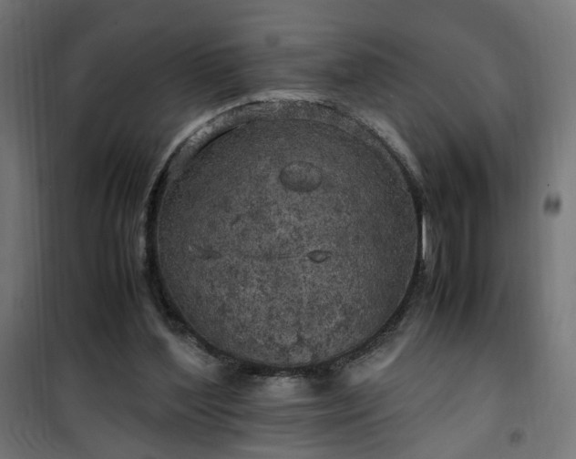 X0000100490204200806201700