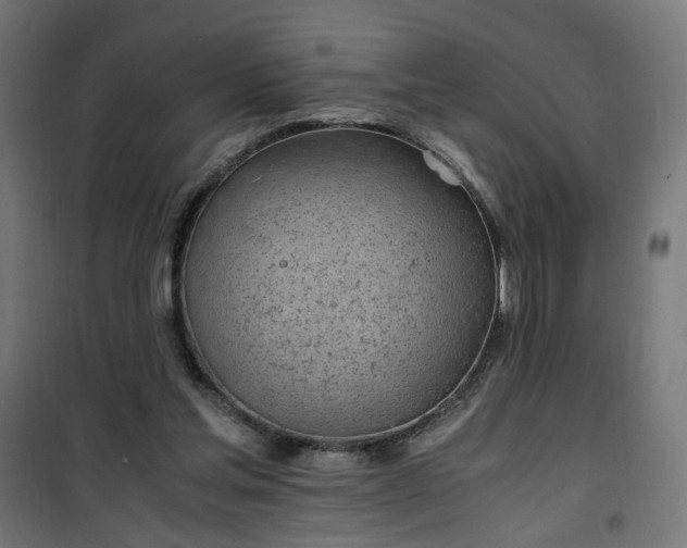 X0000100490205200806201700