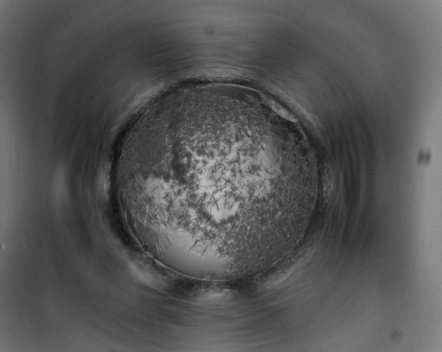 X0000100490206200806201700