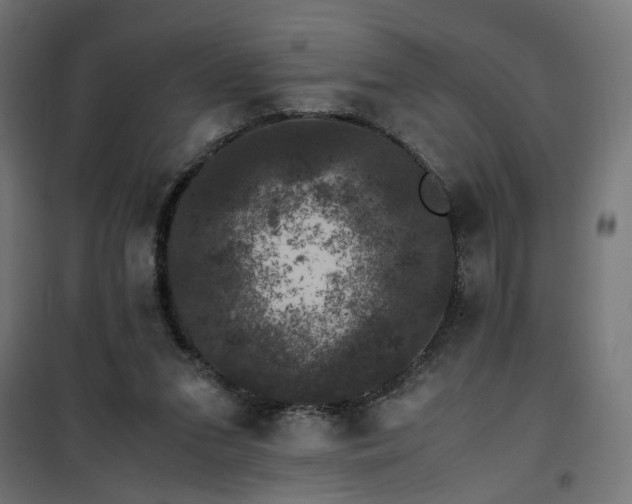 X0000100490207200806201700