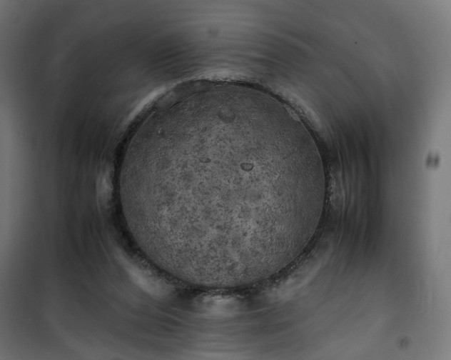 X0000100490208200806201700