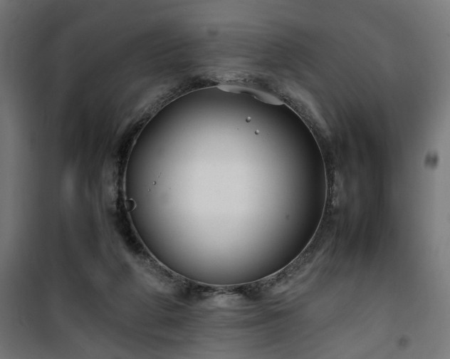 X0000100490210200806201700