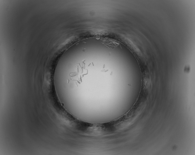 X0000100490211200806201700