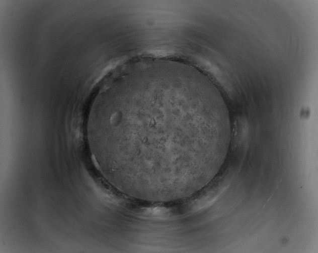 X0000100490212200806201700