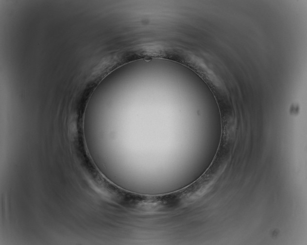 X0000100490213200806201700