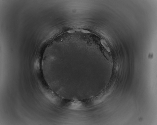 X0000100490214200806201700