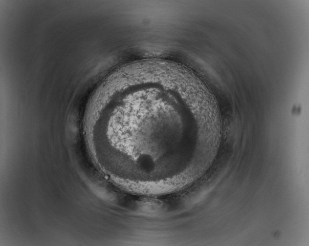X0000100490215200806201700