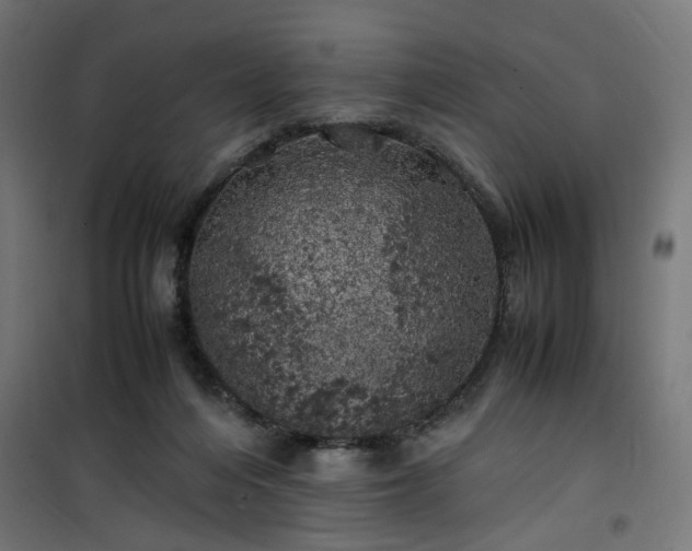 X0000100490216200806201700