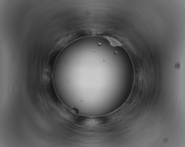 X0000100490218200806201700