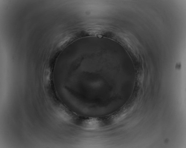 X0000100490219200806201700