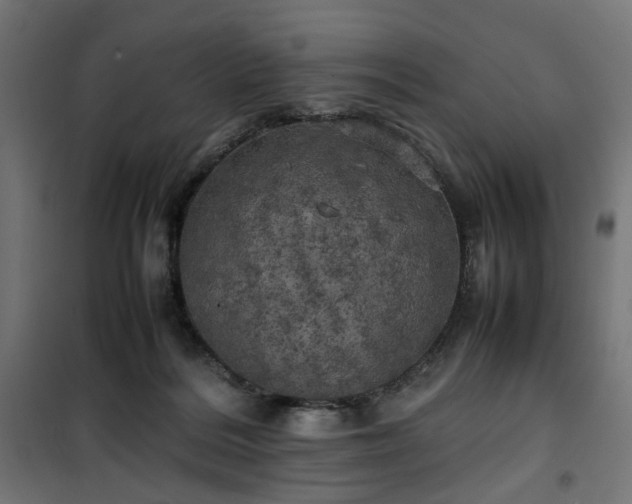 X0000100490220200806201700