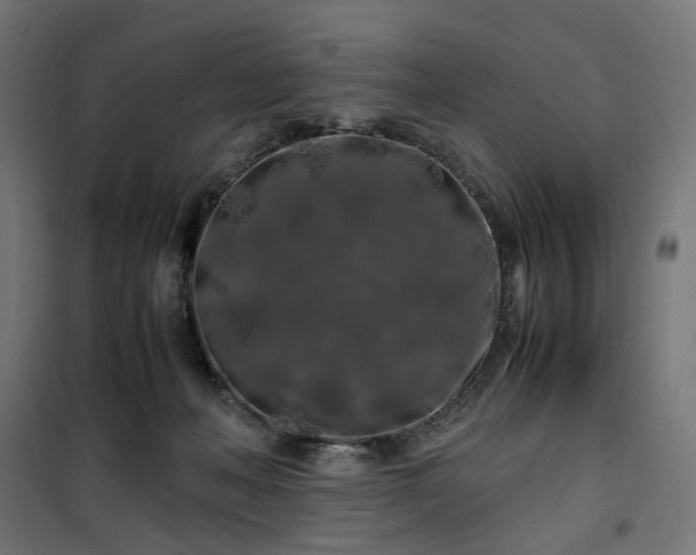 X0000100490222200806201700