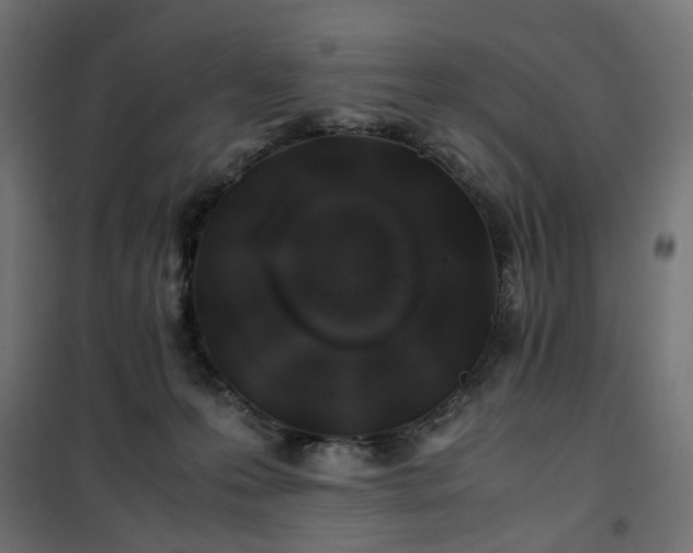 X0000100490223200806201700