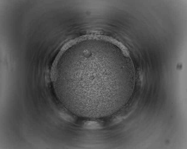 X0000100490224200806201700