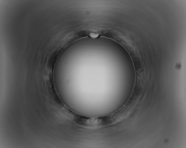 X0000100490225200806201700