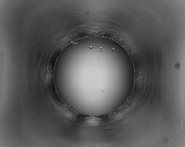 X0000100490226200806201700