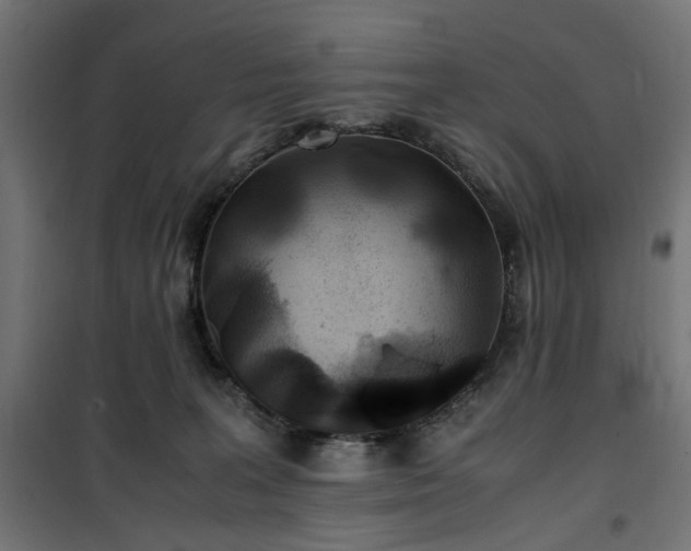 X0000100490227200806201700