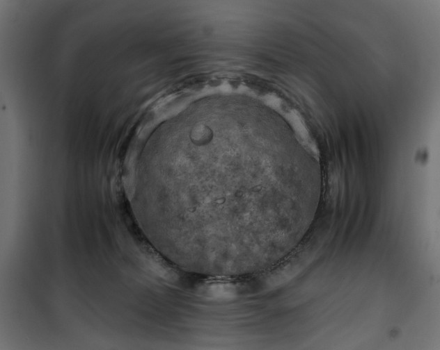 X0000100490228200806201700