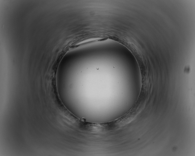 X0000100490229200806201700