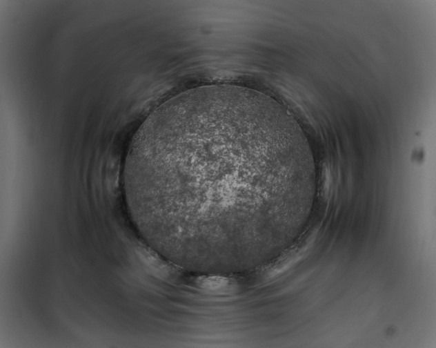 X0000100490230200806201700