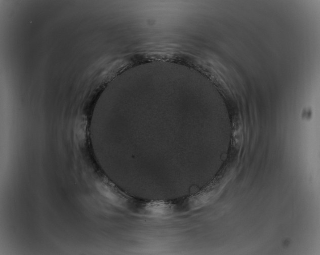 X0000100490231200806201700