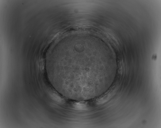 X0000100490232200806201700